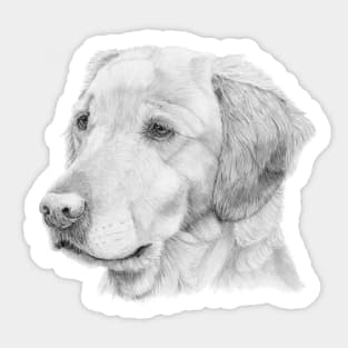 Golden retriever 2 Sticker